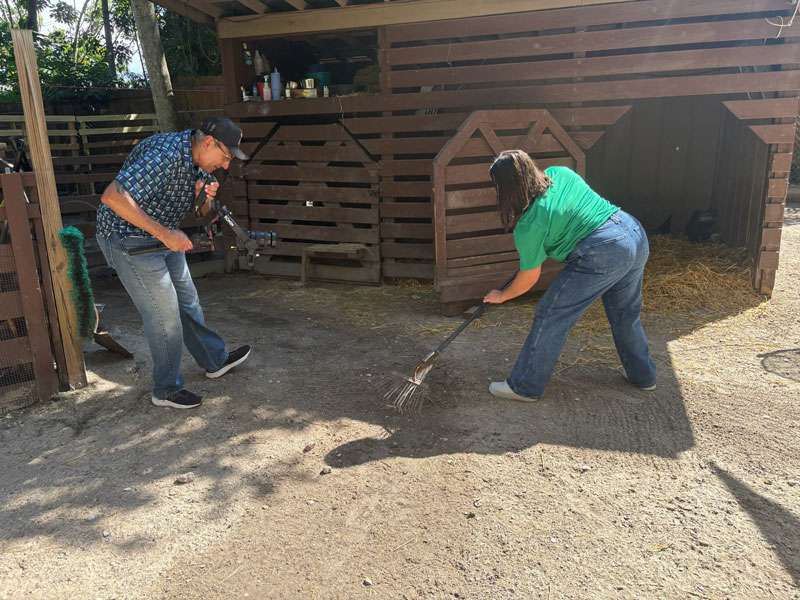 Grapevine Videographer, Felix, Filming Nichole cleaning out the goat enclosure at Sarasota Jungle Gardens.