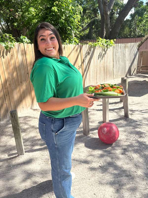 Grapevine's Social Media Specialist carrying food to the animals at Sarasota Jungle Gardens.