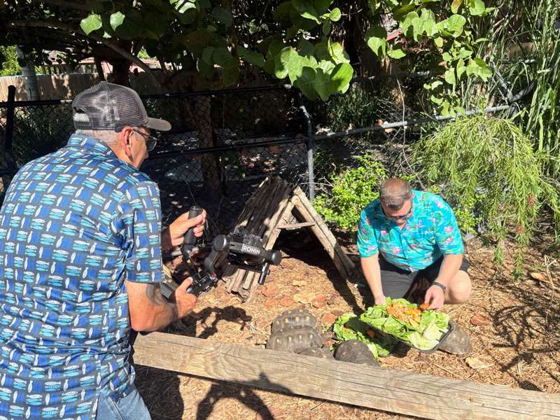 Grapevine Videographer, Felix, Filming Shane feeding tortoises at Sarasota Jungle Gardens.