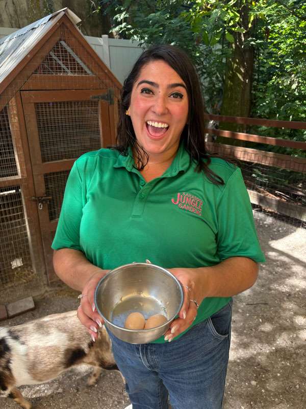 Grapevine Videographer, Felix, filming Nichole feeding the goats at Sarasota Jungle Gardens.